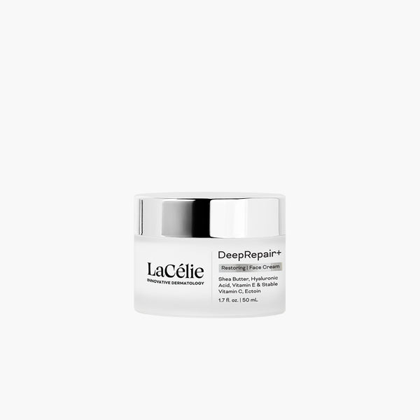 DeepRepair+ – LaCélie